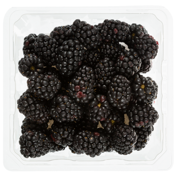 Blackberries Half Pint