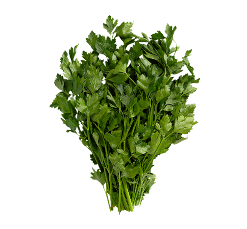 Italian Parsley