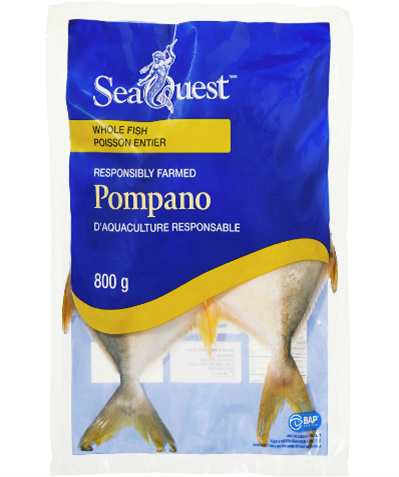 Seaquest Whole Pompano